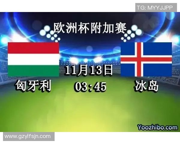 冰岛与匈牙利足球对决专家分析及比分预测详解