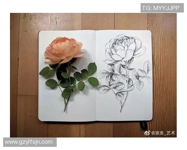 加莱诺的艺术世界探索与创作灵感的源泉分析