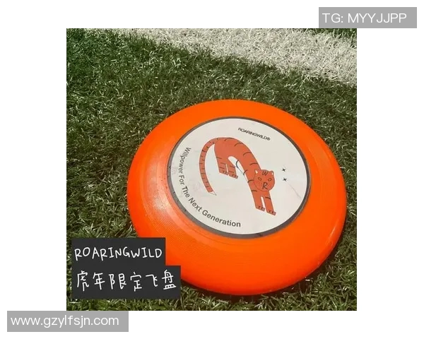 飞盘竞技的魅力与挑战重庆飞盘队的战术解析与团队协作探秘MBA