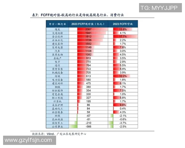 深圳飞盘队的成功运营模式与发展策略深度解析