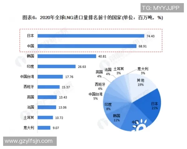 独家解析LNG市场竞争策略与战术对比深度剖析